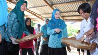 IMG-20250716-WA0066