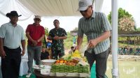 IMG-20251104-WA0064